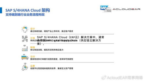全球供应链管理 数字化战略引领企业出海成功